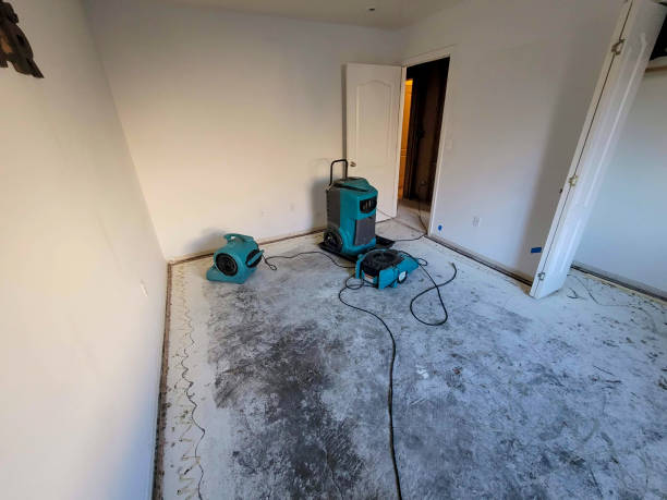 Best Commercial water damage restoration  in Cerro Gordo, IL
