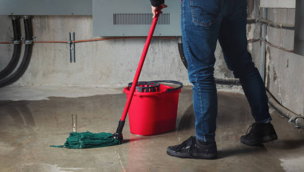 Best Flooded house restoration  in Cerro Gordo, IL