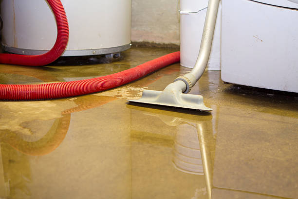 Best Flood restoration services  in Cerro Gordo, IL