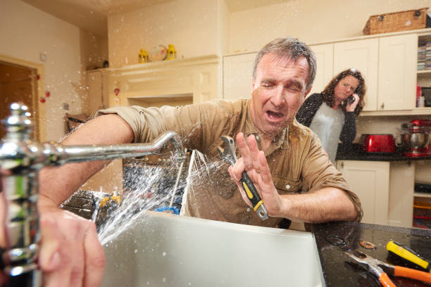 Best Carpet water damage restoration  in Cerro Gordo, IL